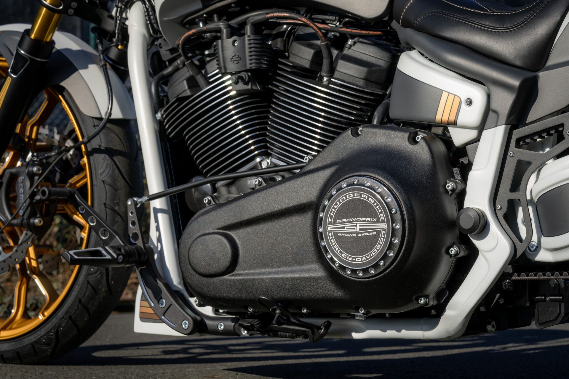 Harley-Davidson Breakout Thunderbike personalizada 1