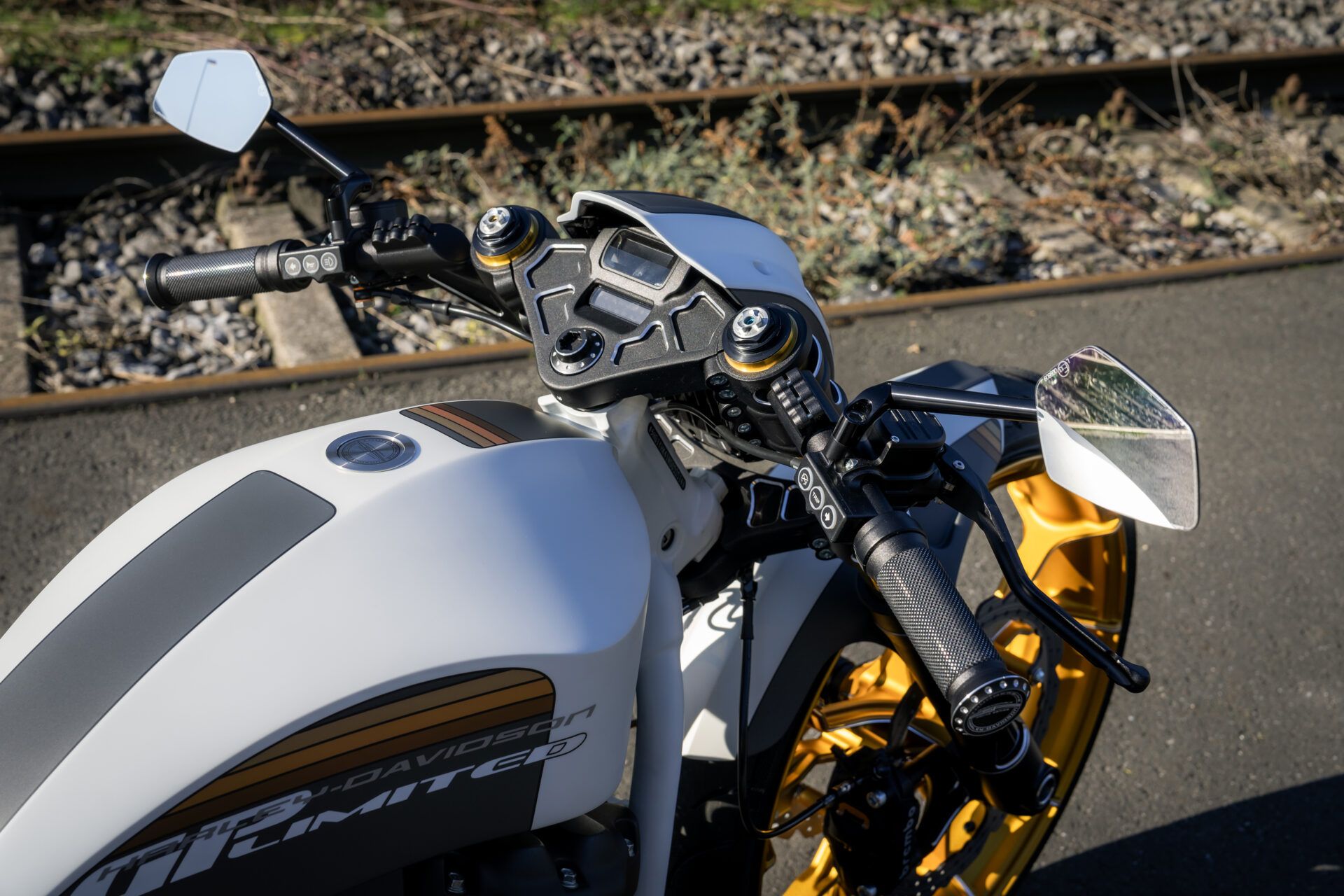 Harley-Davidson Breakout Thunderbike 4 personalizada
