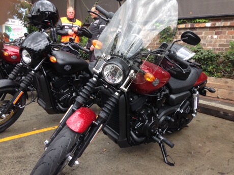 Calle Harley-Davidson 500